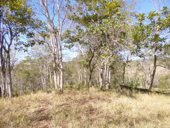 Fazenda à venda - Foto 8