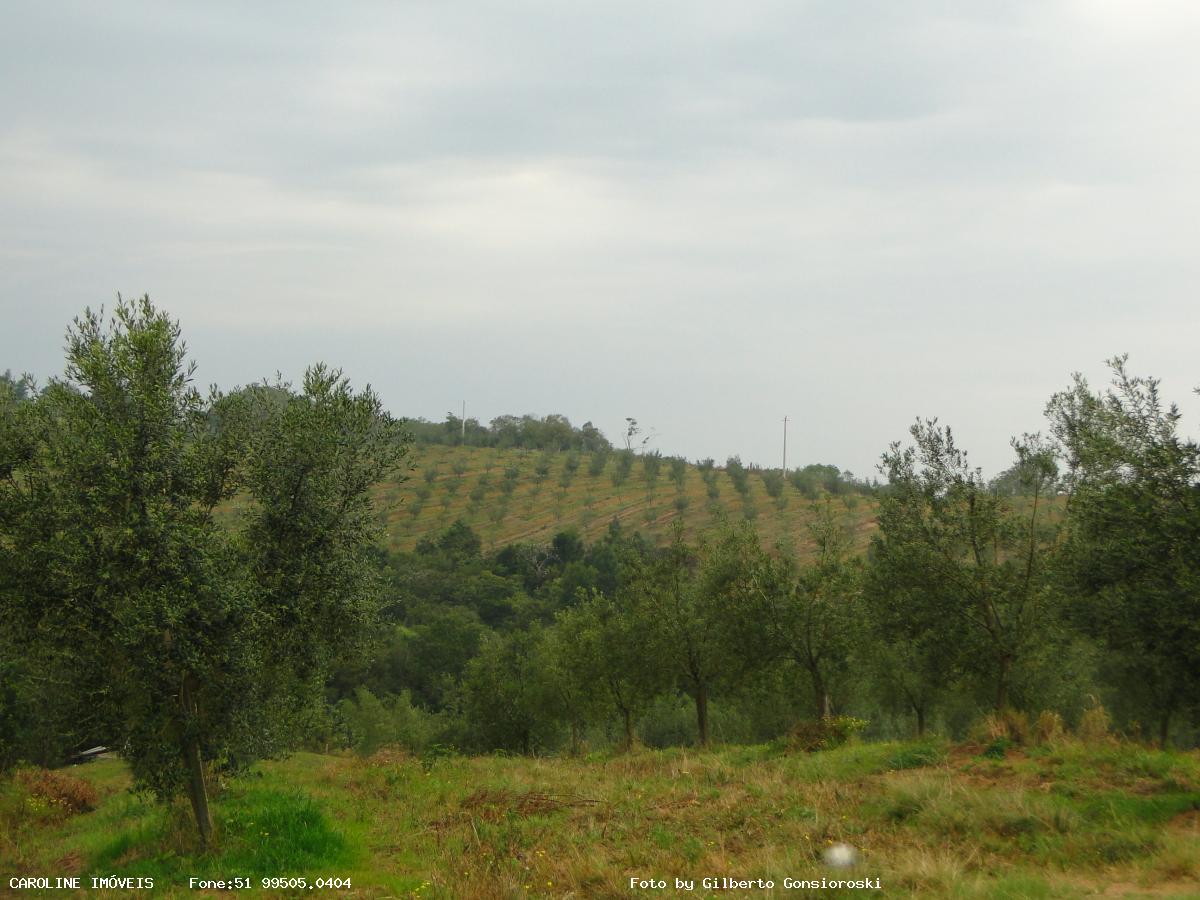 Fazenda à venda com 6 quartos, 493400m² - Foto 24