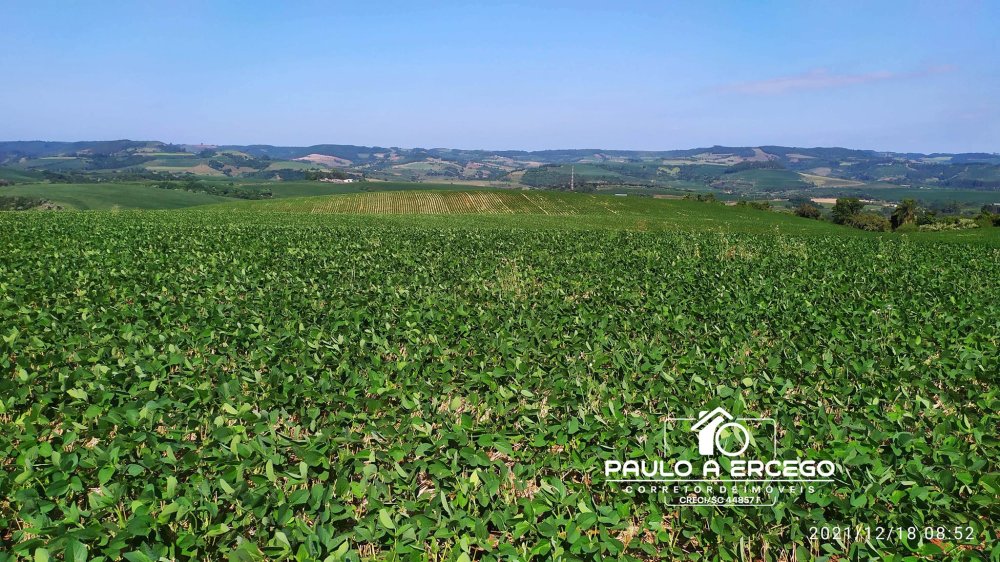 Fazenda à venda, 181m² - Foto 8