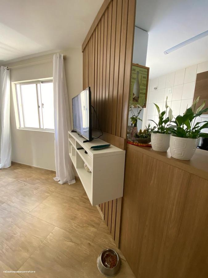 Apartamento à venda com 3 quartos, 54m² - Foto 3