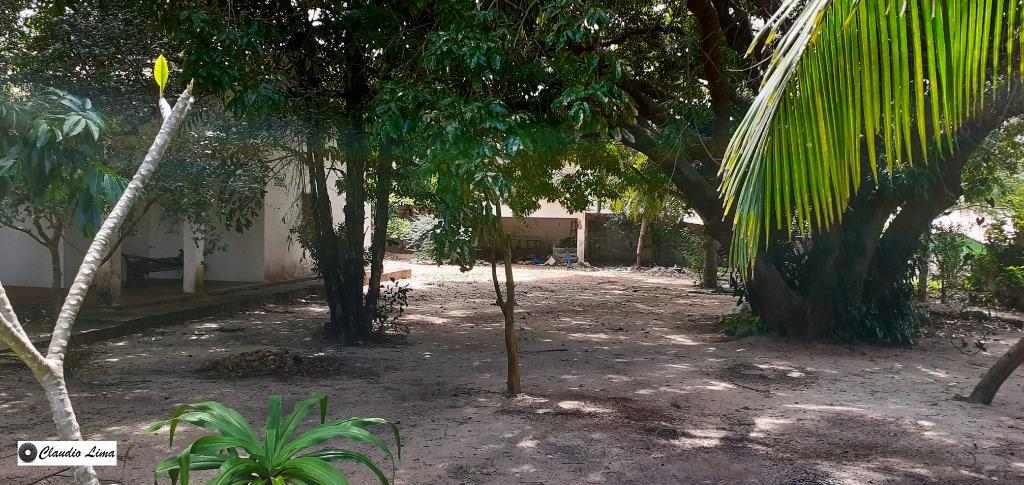 Fazenda à venda com 4 quartos, 180m² - Foto 3