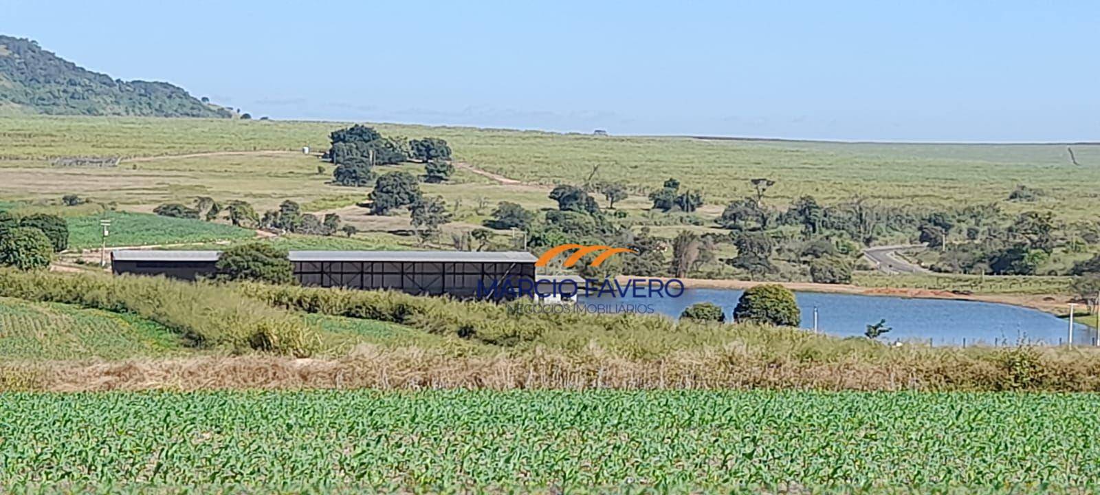 Fazenda, 173 hectares - Foto 6