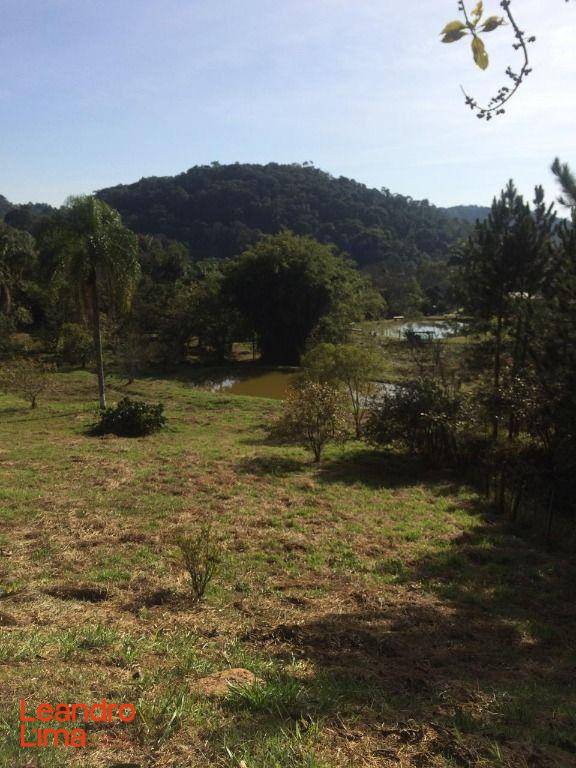 Terreno, 4 hectares - Foto 7