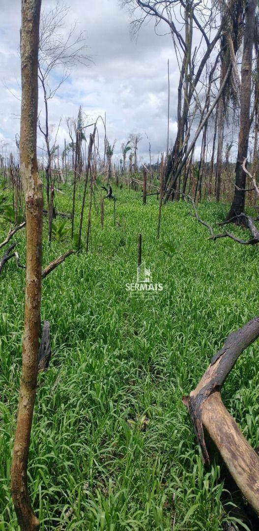 Fazenda à venda, 5324000M2 - Foto 7