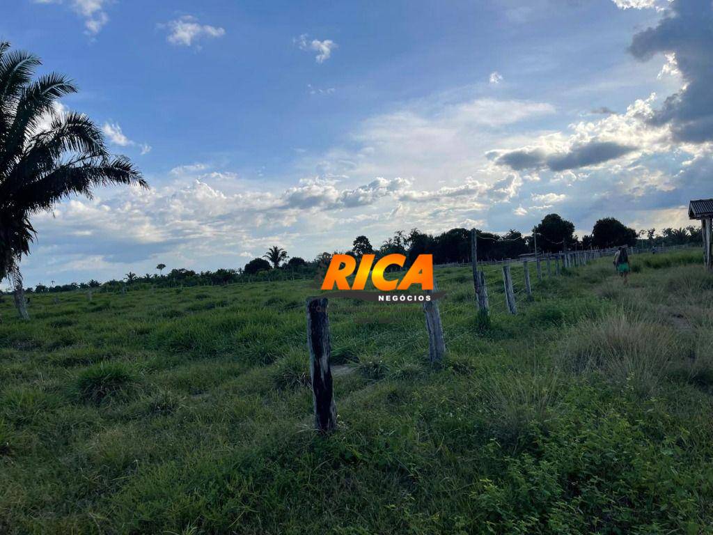 Sítio, 40 hectares - Foto 21