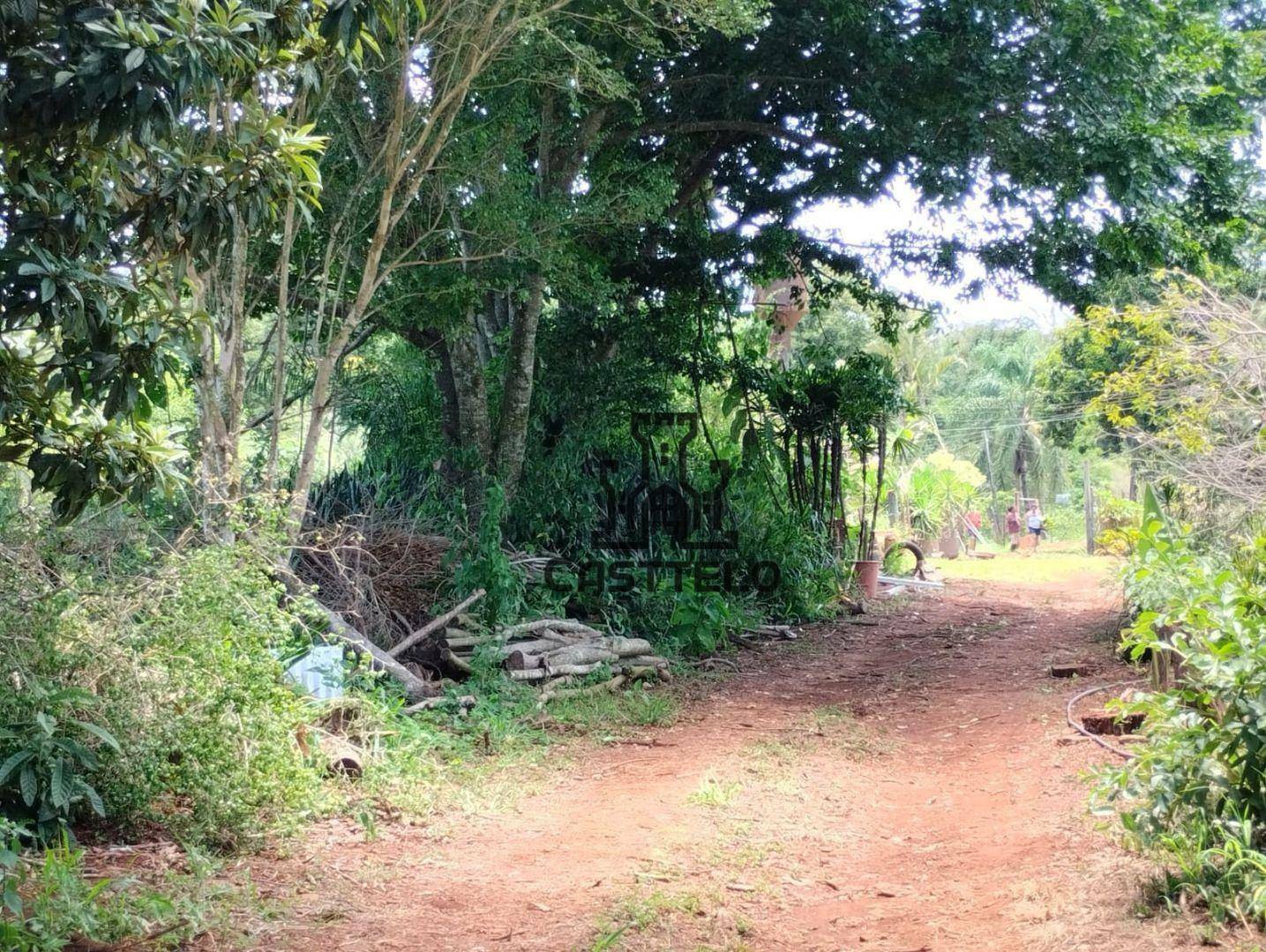 Chácara à venda com 3 quartos, 16720M2 - Foto 5