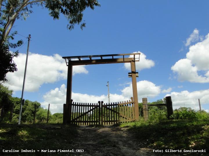 Sítio, 3 quartos, 2 hectares - Foto 43