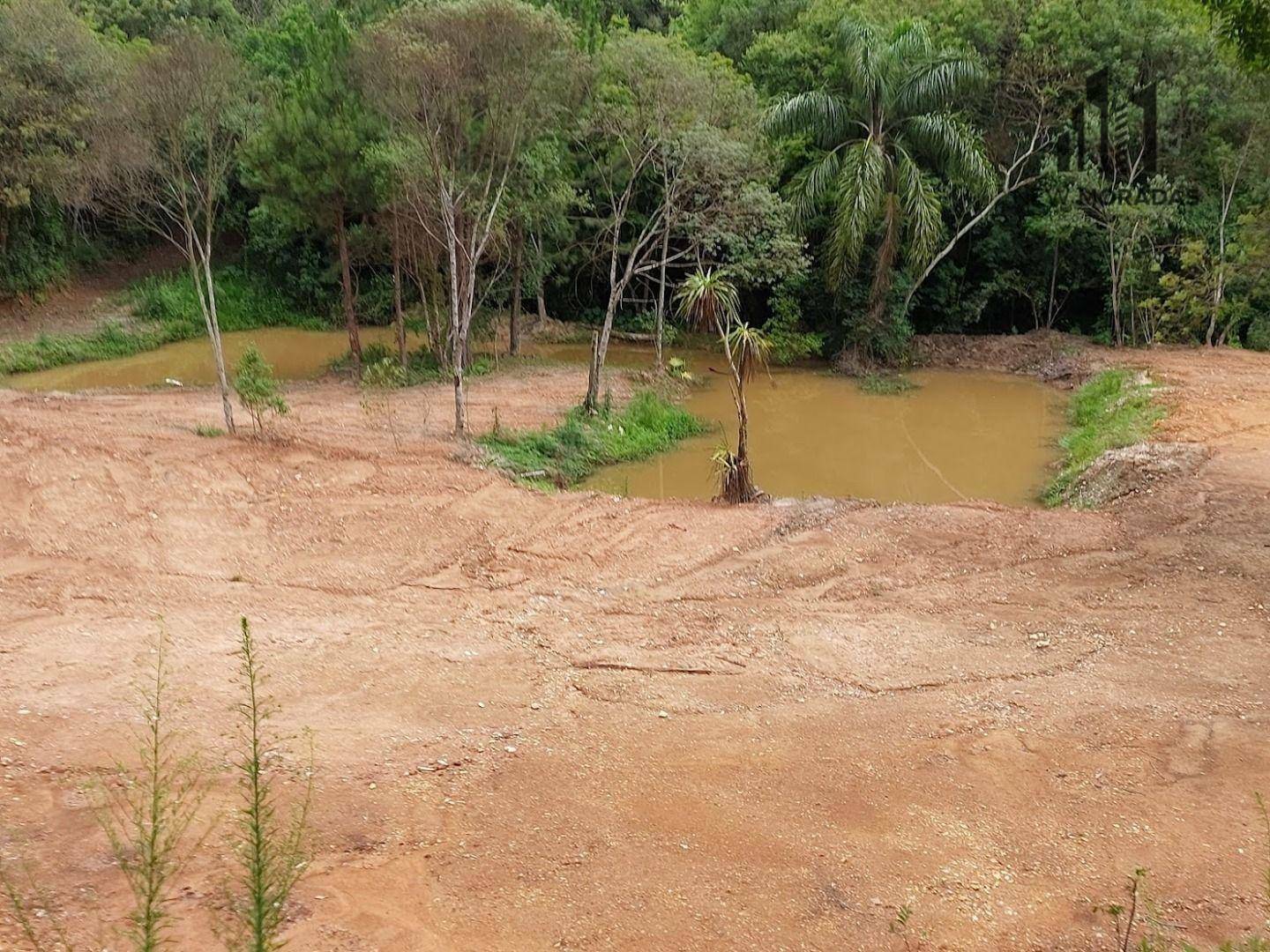 Chácara, 3 hectares - Foto 11