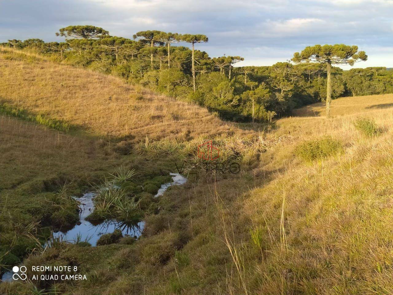 Sítio à venda, 180000M2 - Foto 2