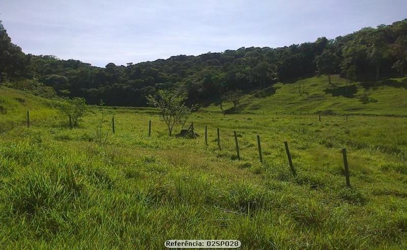 Sítio à venda com 2 quartos, 240000m² - Foto 8