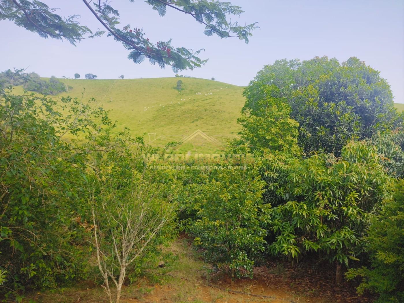 Chácara à venda, 12100m² - Foto 7