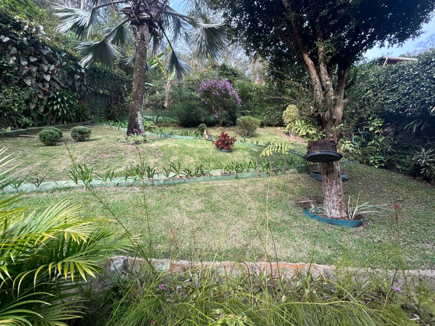 Casa à venda com 4 quartos, 240m² - Foto 15