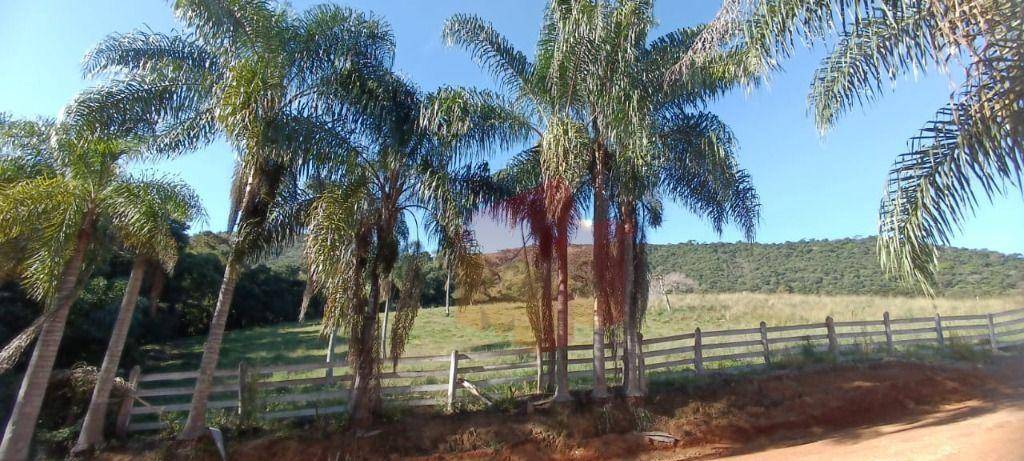 Sítio, 10 hectares - Foto 84