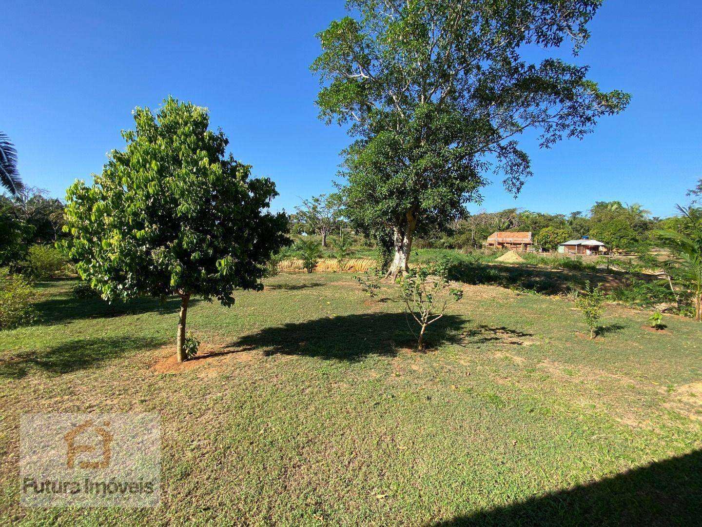 Chácara à venda com 3 quartos, 6000M2 - Foto 23