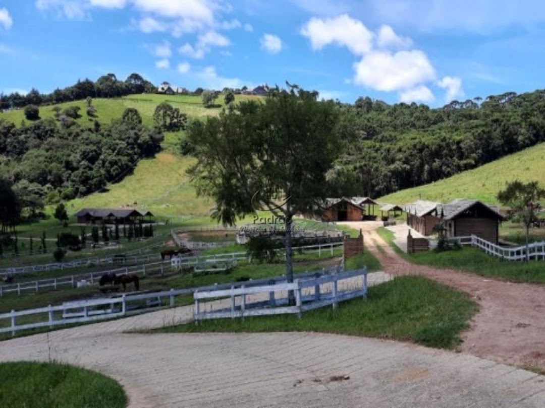 Fazenda à venda com 6 quartos, 1000m² - Foto 1