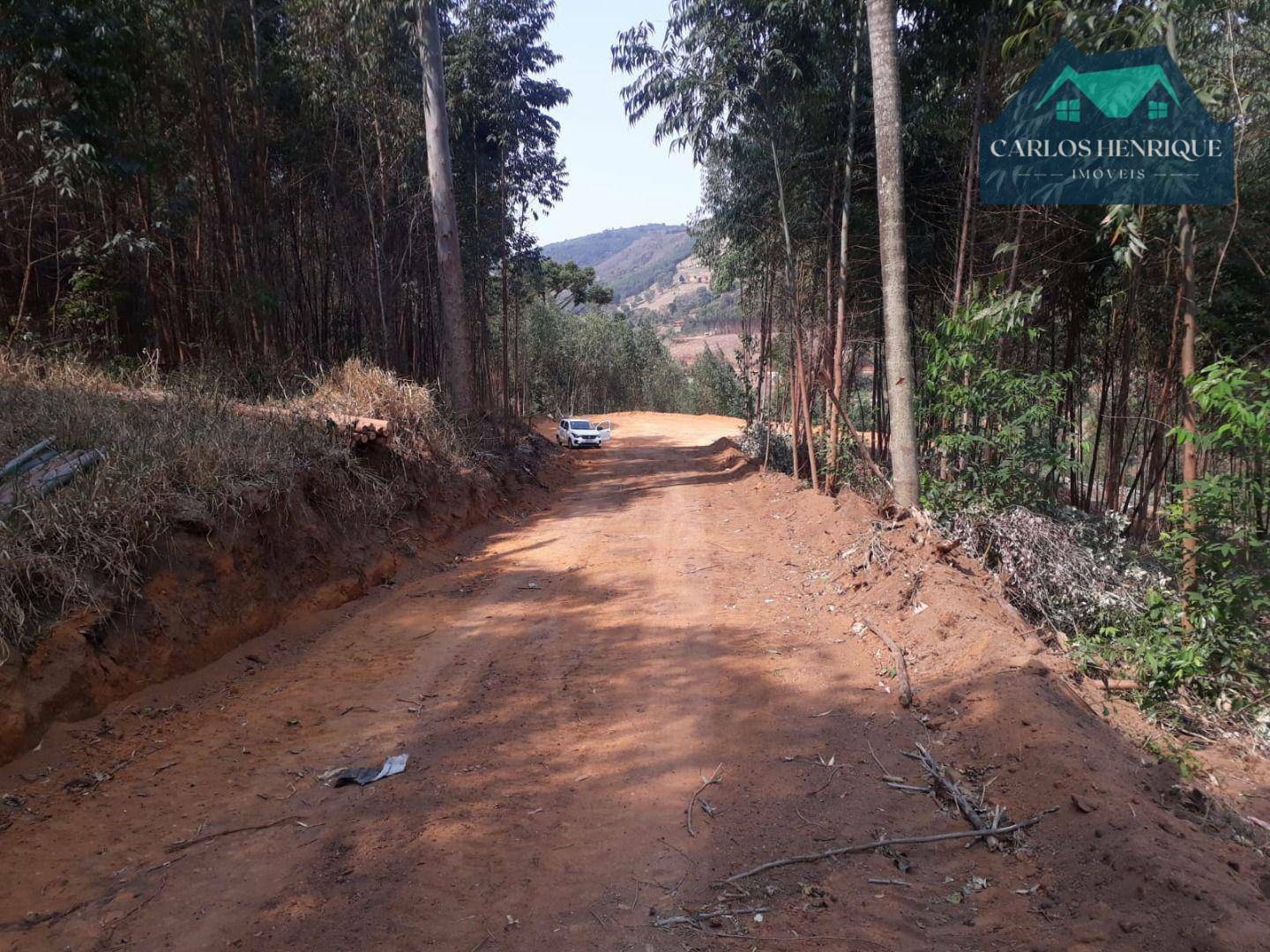 Terreno à venda, 10000M2 - Foto 6