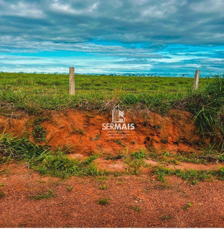 Fazenda à venda com 5 quartos, 23000000M2 - Foto 6