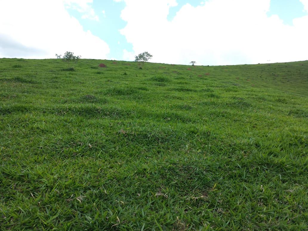 Fazenda à venda com 1 quarto, 120m² - Foto 16