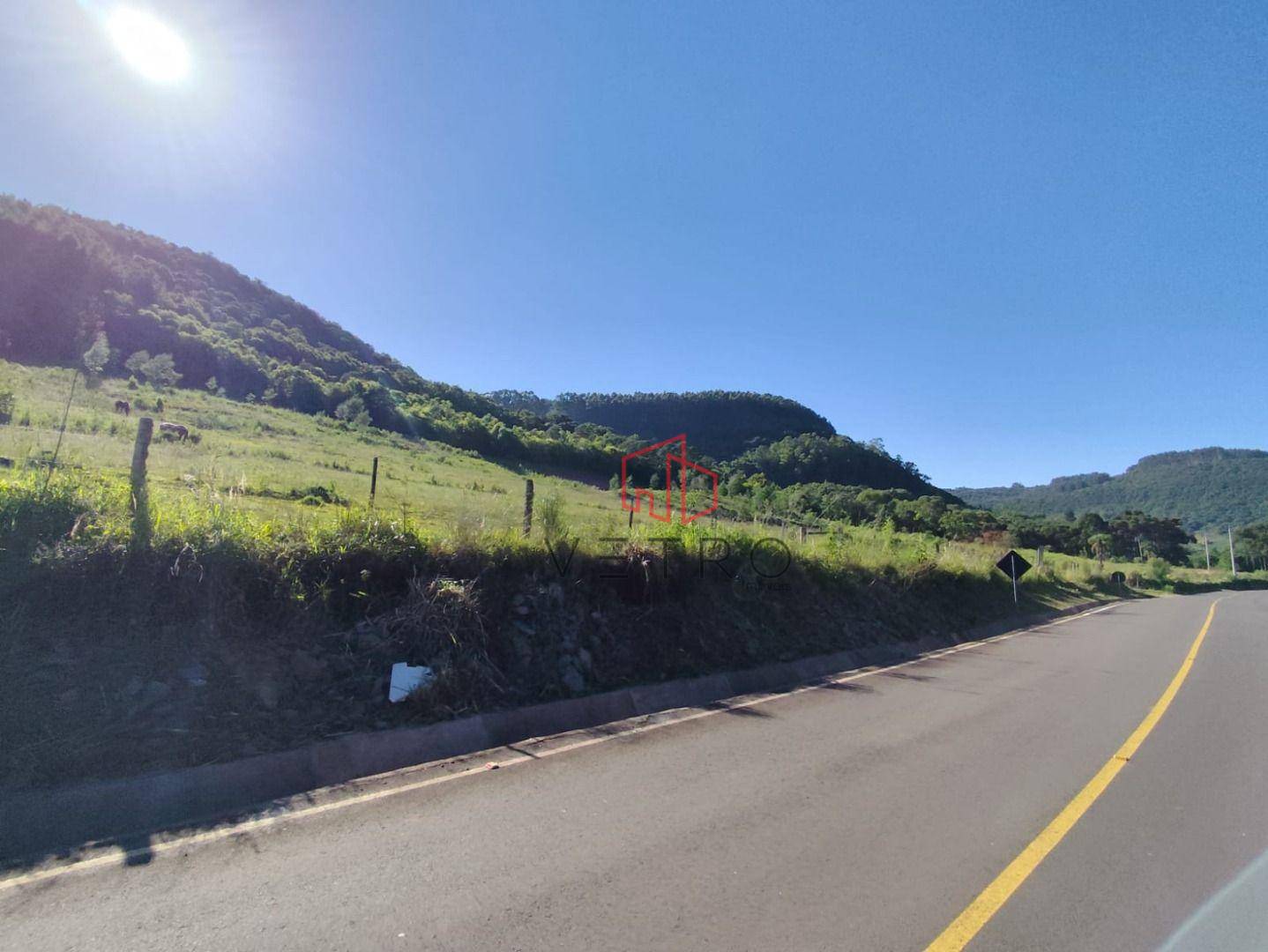 Sítio, 4 hectares - Foto 12