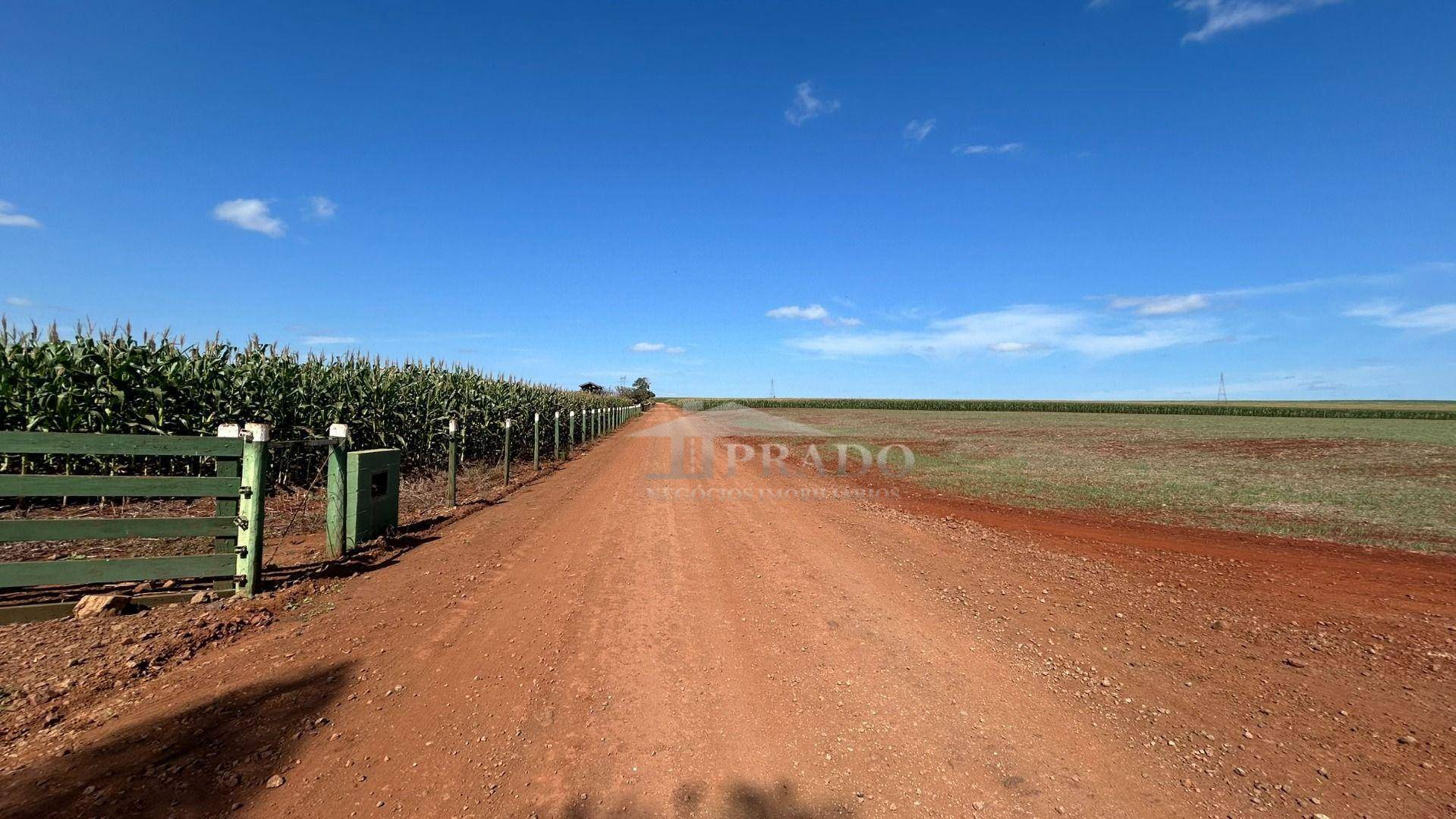 Sítio à venda com 6 quartos, 1100m² - Foto 82