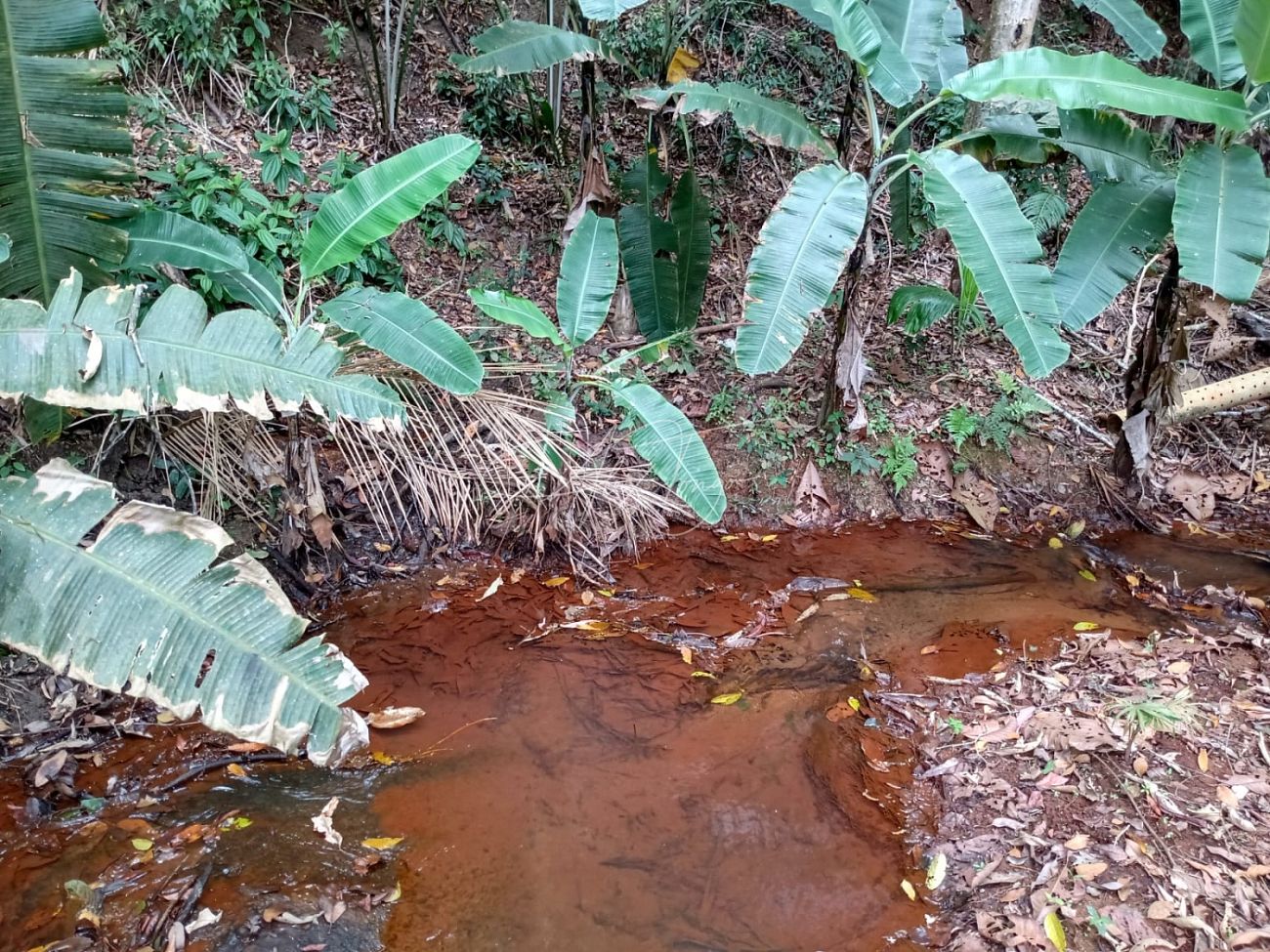 Fazenda à venda, 3000m² - Foto 12