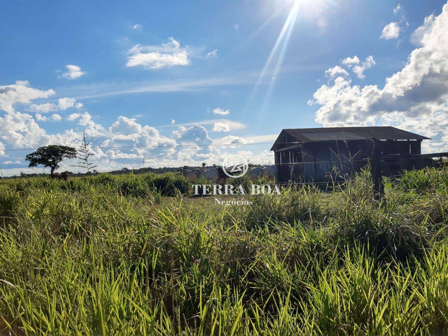 Fazenda à venda, 16000000M2 - Foto 21