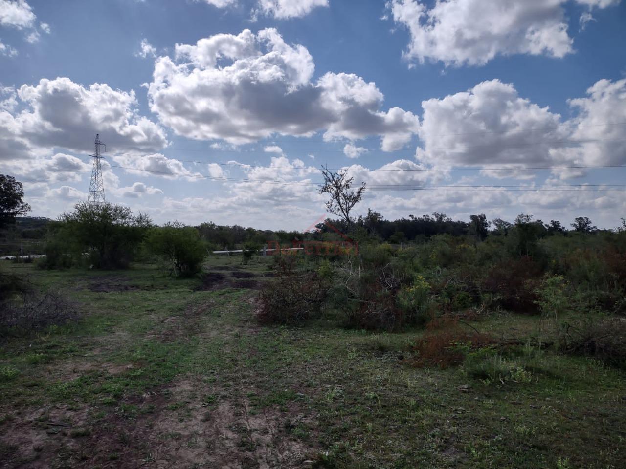 Fazenda-Sítio-Chácara - Foto 14