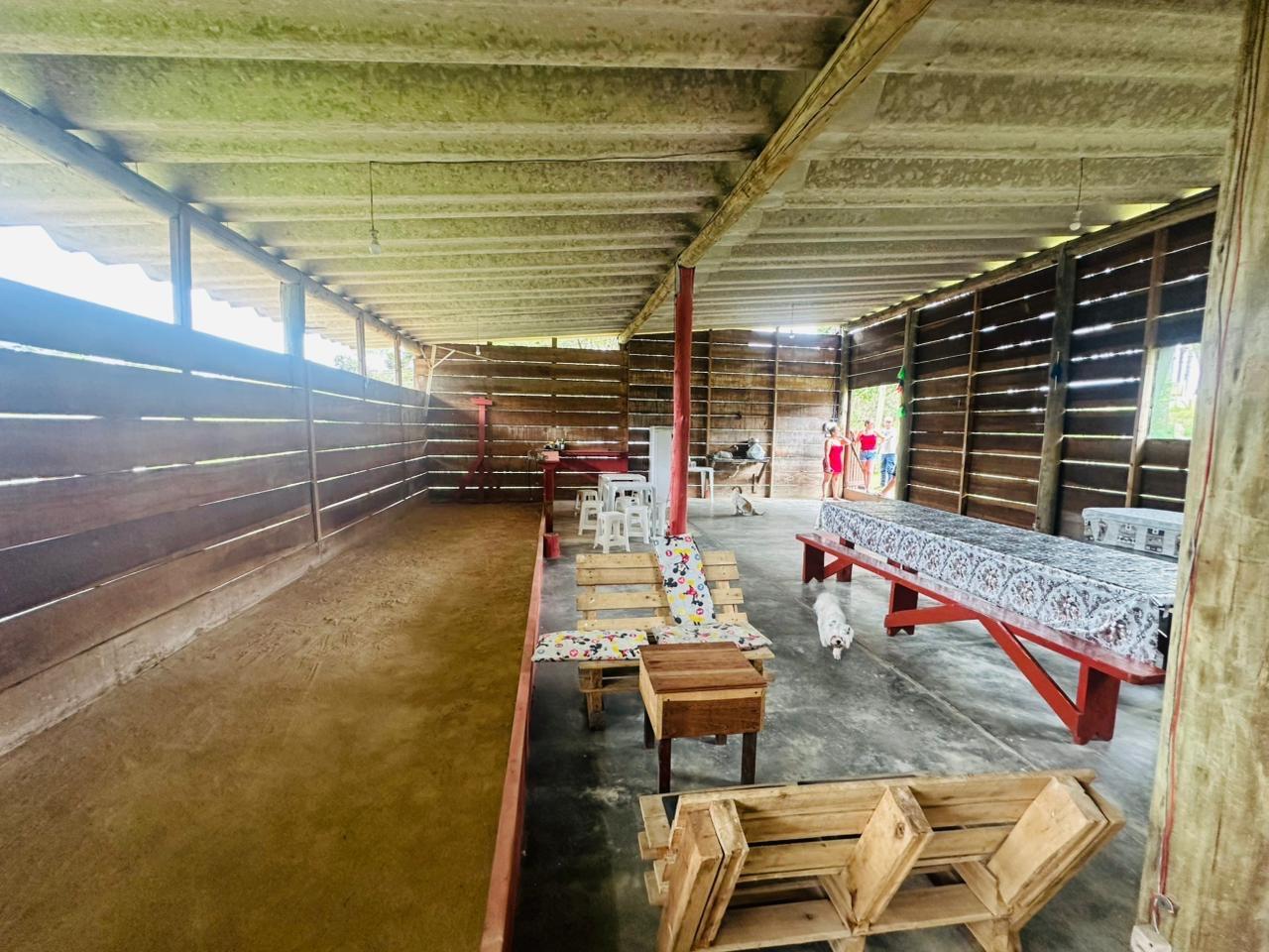 Fazenda à venda com 3 quartos, 8000m² - Foto 36