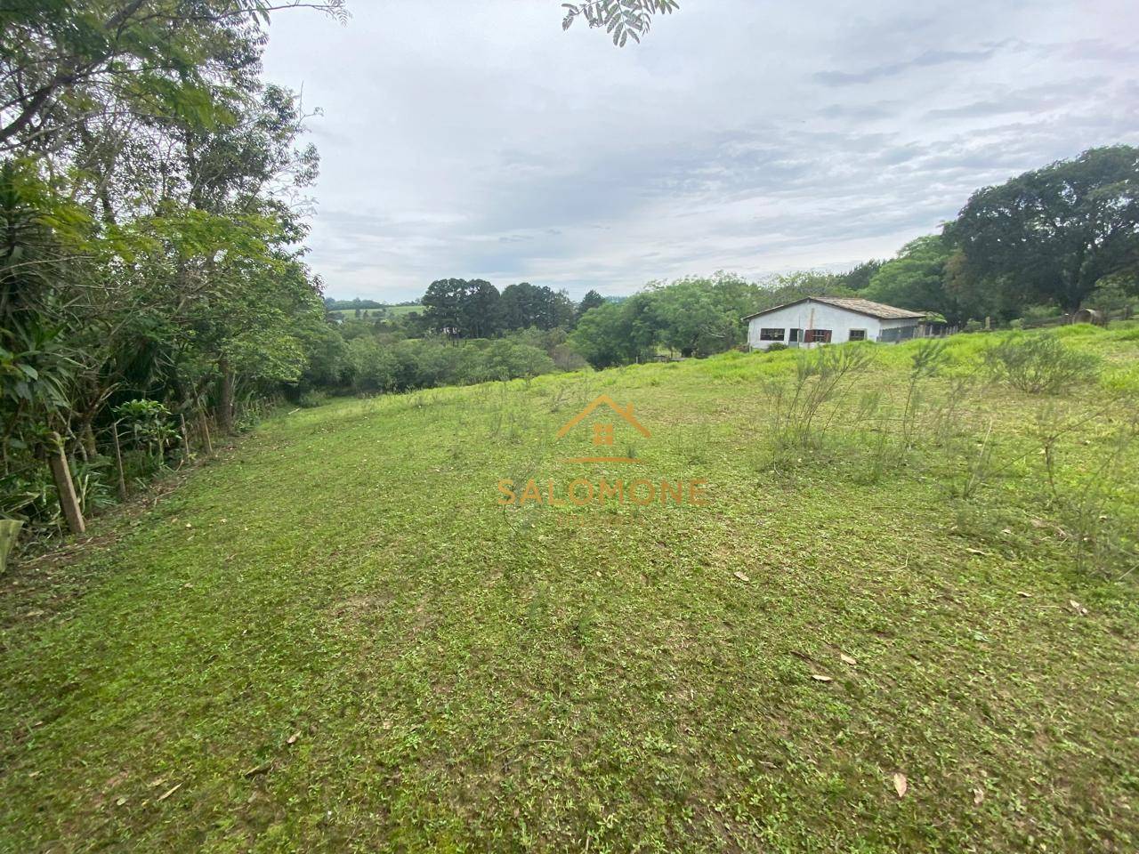 Terreno, 10000 m² - Foto 3