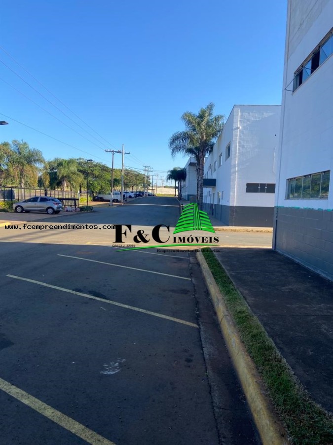 Depósito-Galpão - Foto 1