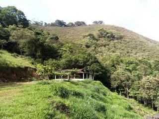 Fazenda à venda com 1 quarto, 310000m² - Foto 1