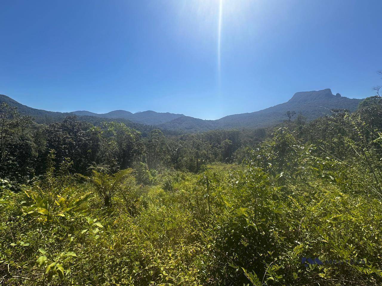 Terreno, 4 hectares - Foto 6