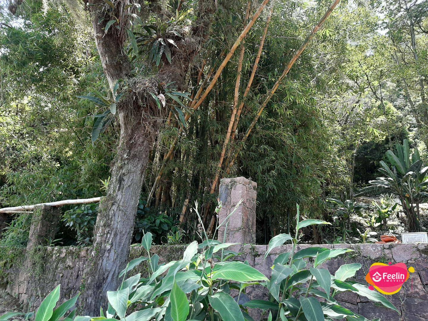 Terreno à venda, 20000M2 - Foto 5