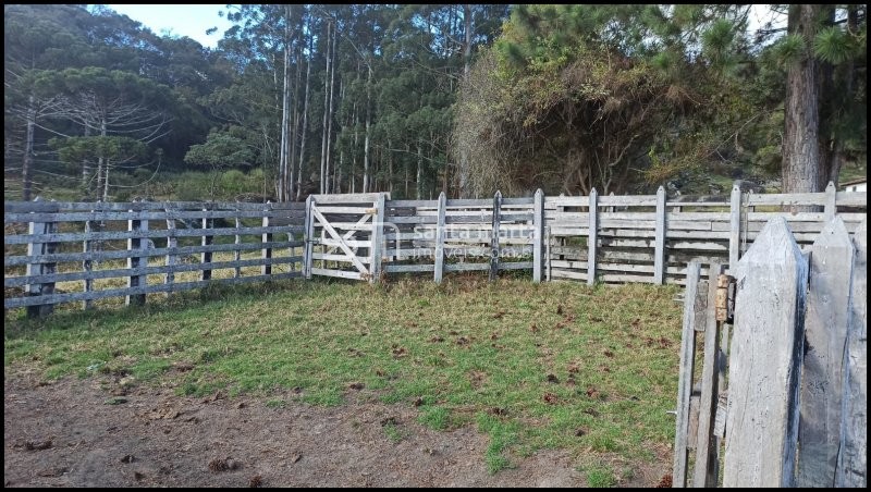 Fazenda à venda com 2 quartos, 24m² - Foto 68