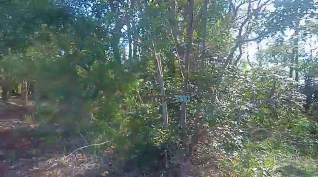 Terreno, 1938 m² - Foto 12