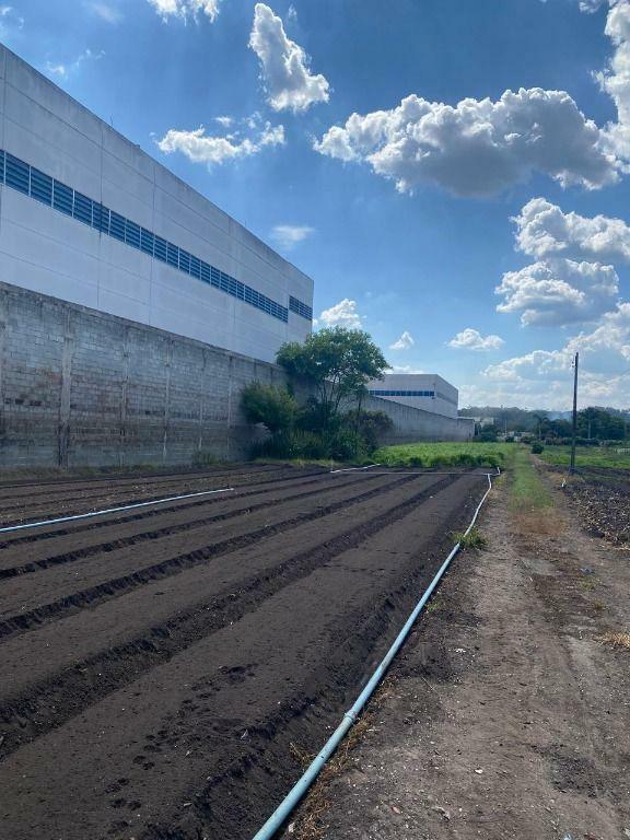 Terreno à venda, 12000M2 - Foto 4