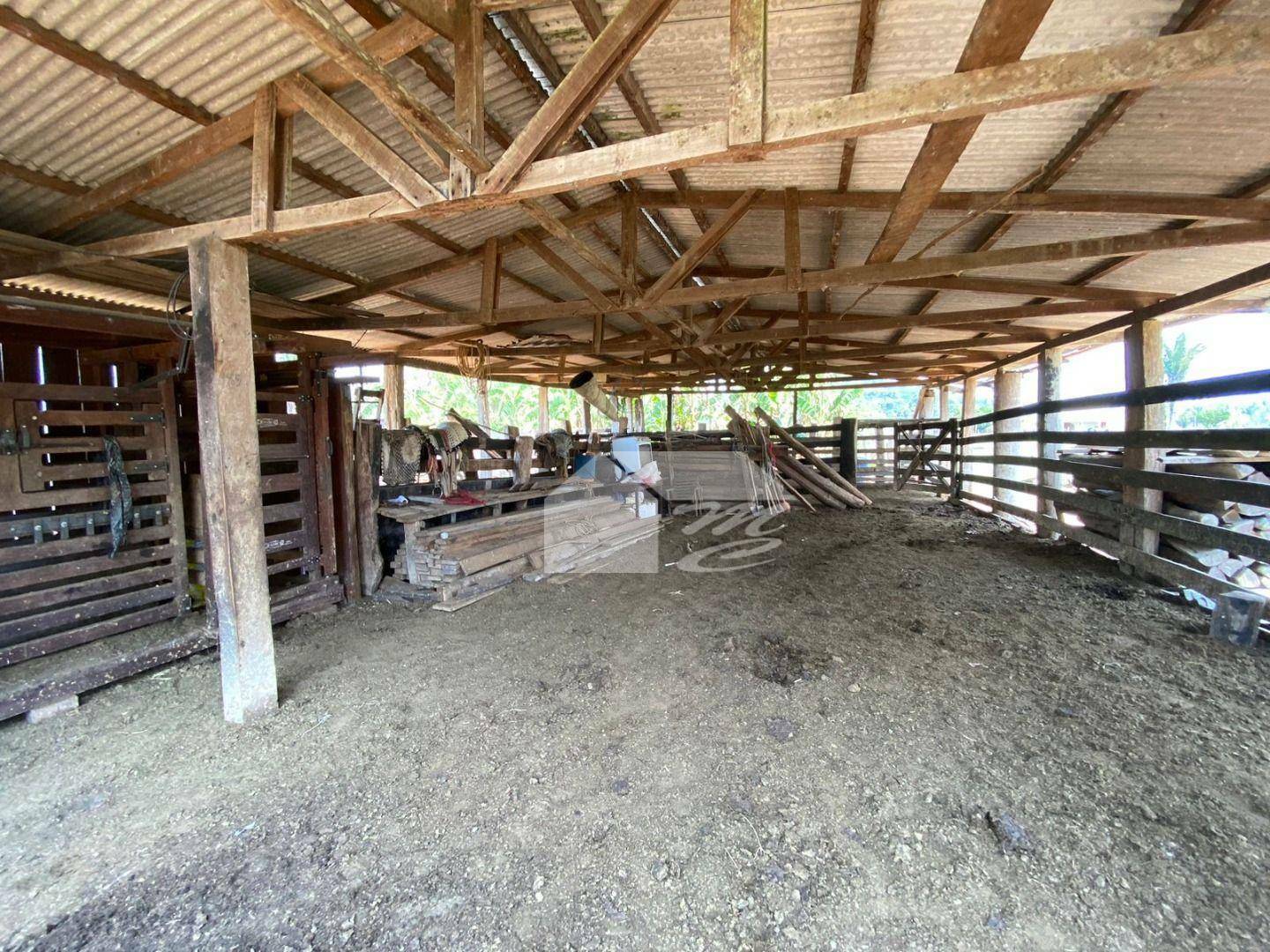 Fazenda à venda com 3 quartos, 2420000M2 - Foto 9