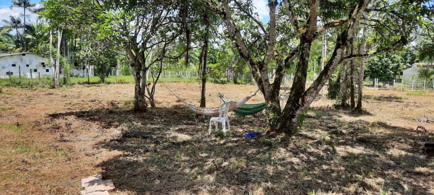 Fazenda à venda com 2 quartos, 3500m² - Foto 7