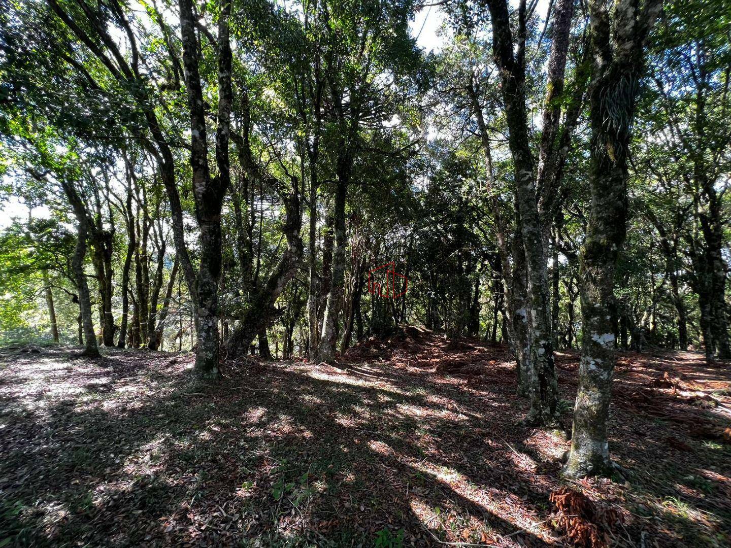 Loteamento e Condomínio à venda, 1435M2 - Foto 8