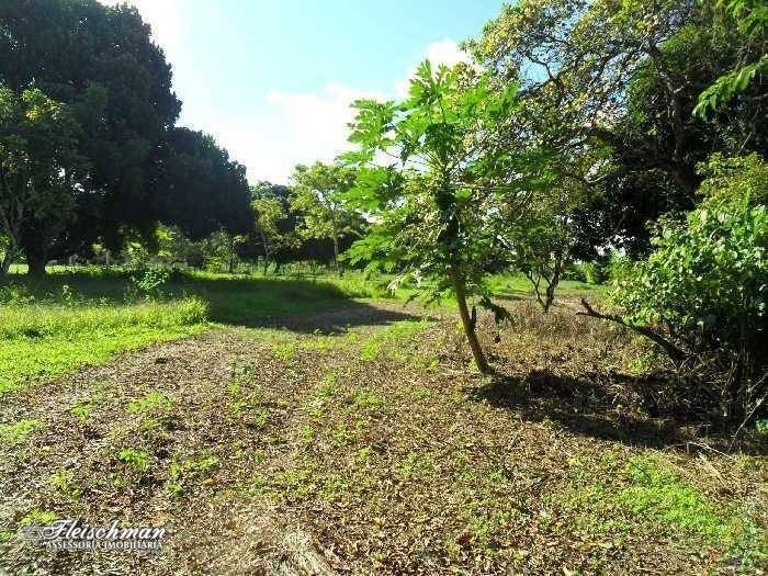 Loteamento e Condomínio à venda, 110000M2 - Foto 11