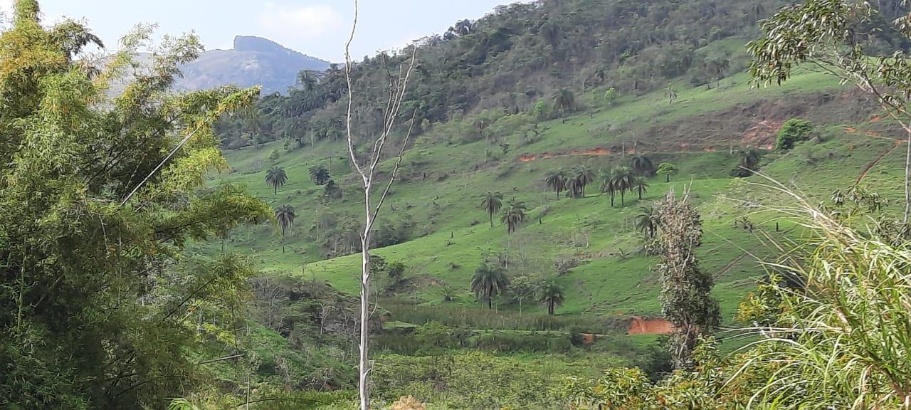 Fazenda à venda, 694m² - Foto 3