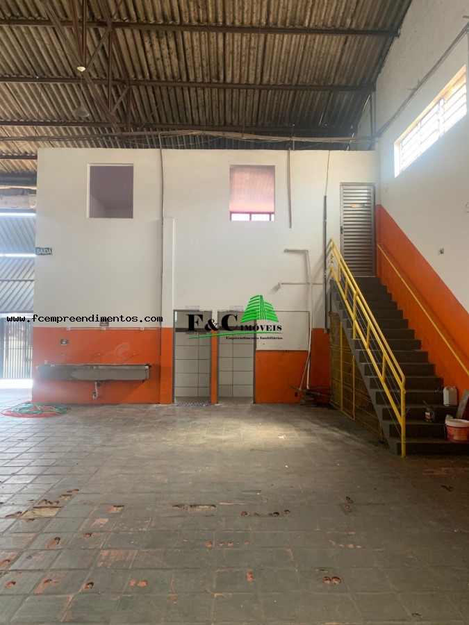 Depósito-Galpão - Foto 1