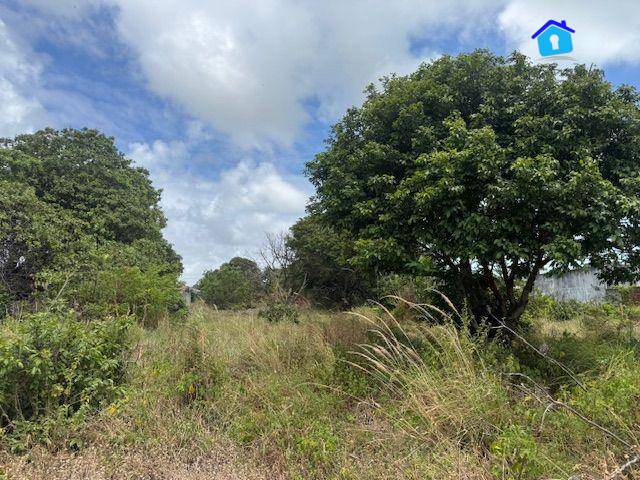 Terreno, 450 m² - Foto 17