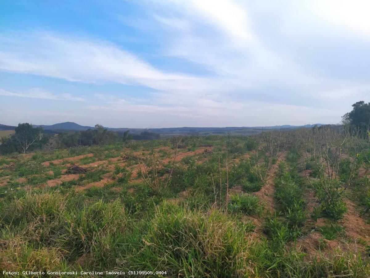 Loteamento e Condomínio à venda, 31900m² - Foto 3