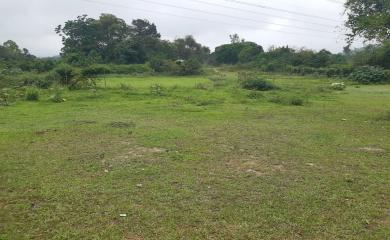 Fazenda à venda com 4 quartos, 15000m² - Foto 9