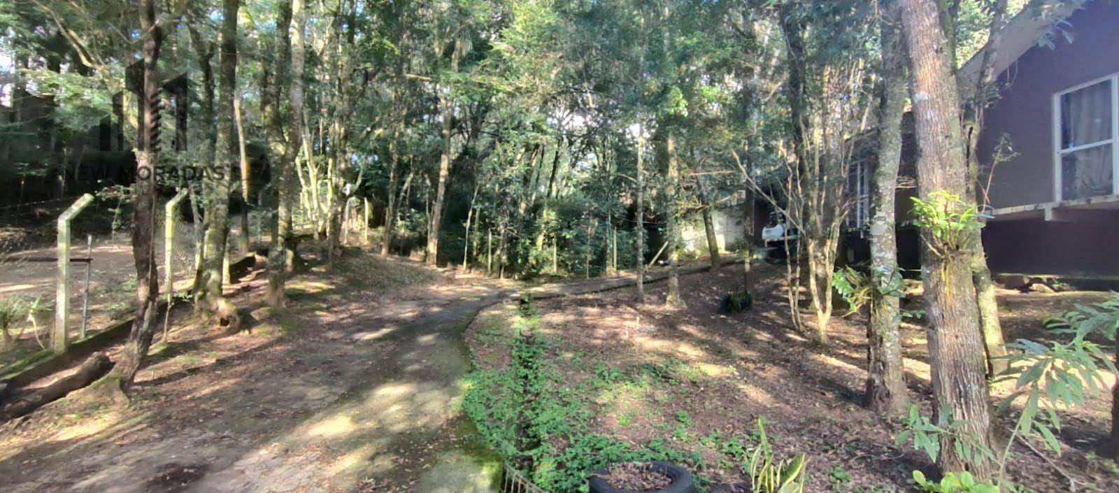 Casa à venda com 3 quartos, 300m² - Foto 27