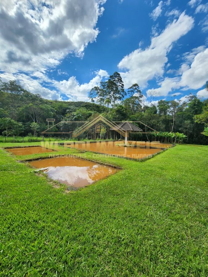 Sítio à venda, 24000m² - Foto 3
