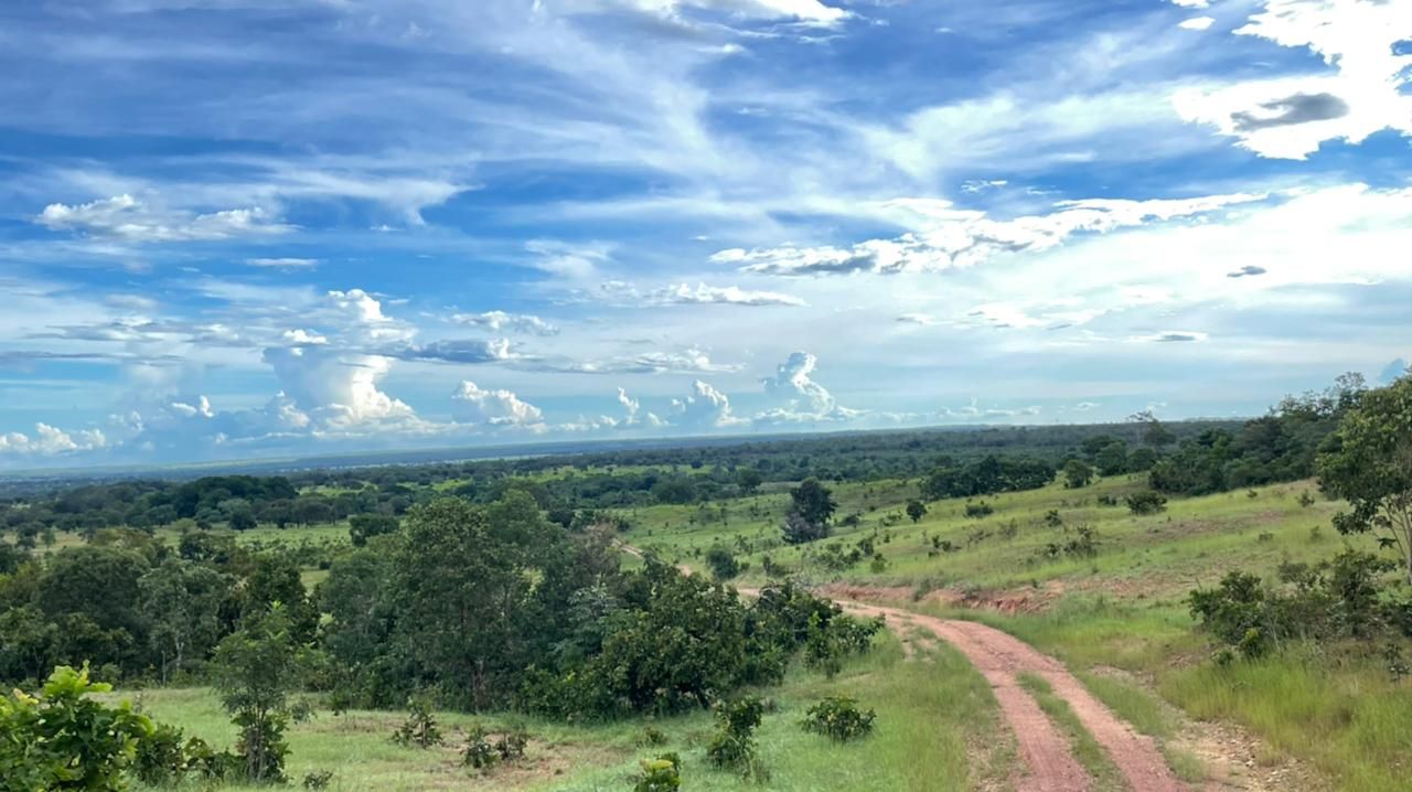 Fazenda-Sítio-Chácara, 1572 hectares - Foto 2