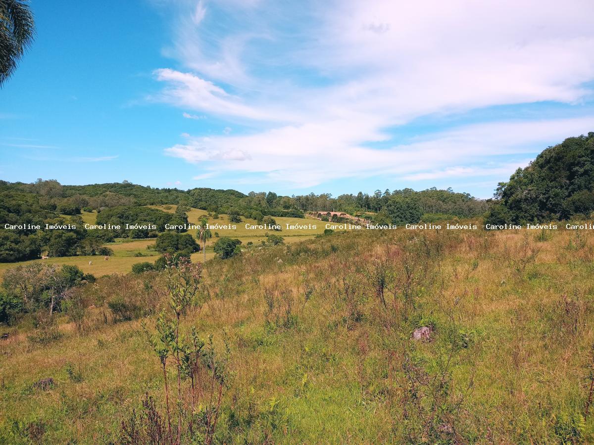 Fazenda à venda com 5 quartos, 625000m² - Foto 43