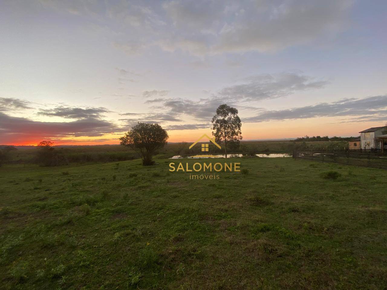 Sítio, 2 hectares - Foto 3